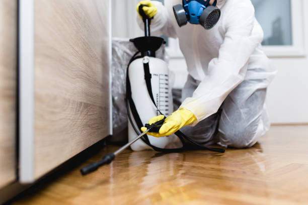 Reliable Footville, WI Pest Control Solutions