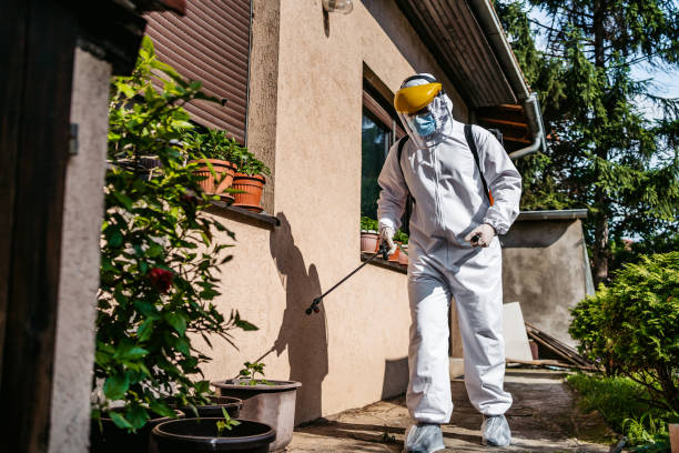 Best Mosquito Control Services  in Footville, WI