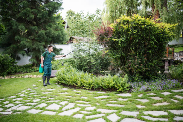 Best Best Pest Control Companies  in Footville, WI