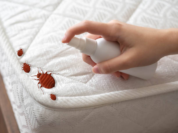 Pest Prevention Services in Footville, WI
