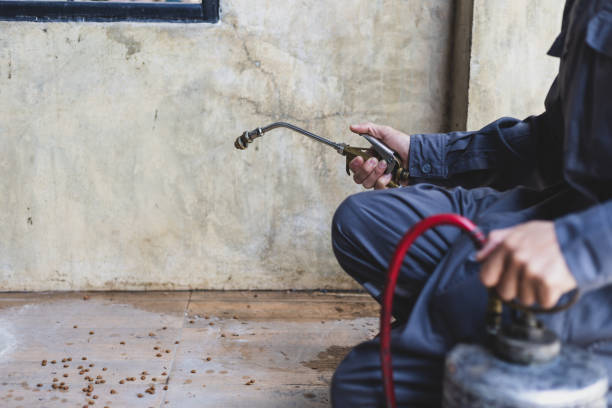 Best Pest Prevention Services  in Footville, WI